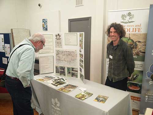 Ancient Tree Forum display