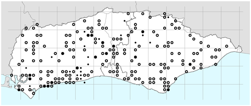 Arum italicum subsp italicum