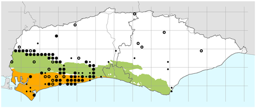 Arum italicum subsp neglectum